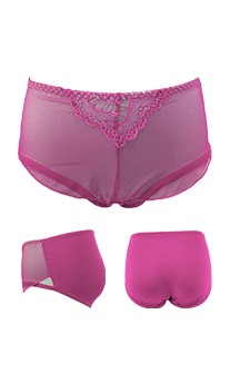 (絕版品)蝶戀優雅網紗內褲 FREE myBRA - 桃紅