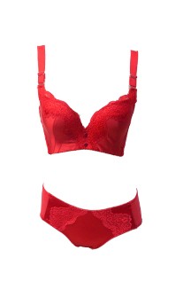 (絕版品)復古風華 J型優雅美胸機能內衣褲 B-C myBRA - 紅色