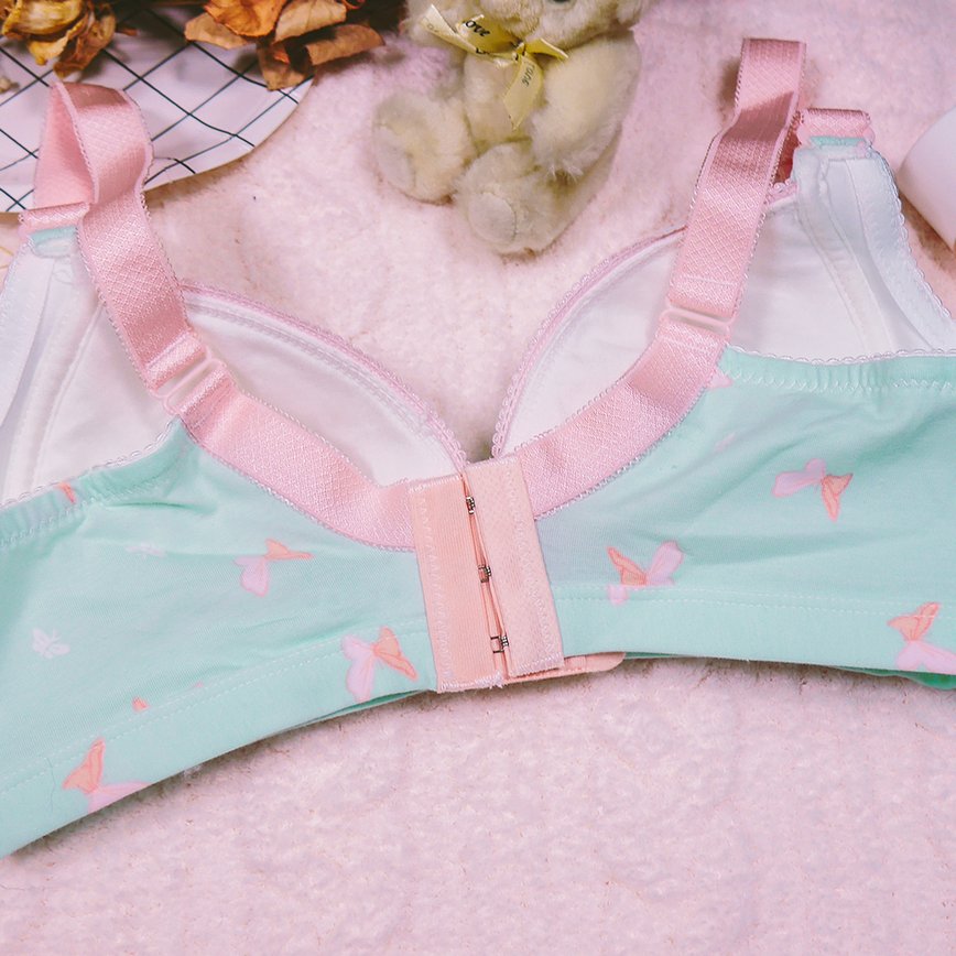 (絕版品)芬芳花園 無鋼圈中開式哺乳內衣 B-C Leinear,中開式包覆副乳無鋼圈,中開式內衣無鋼圈,內衣無鋼圈高脅邊,內衣包覆副乳哺乳,leinear包覆副乳哺乳